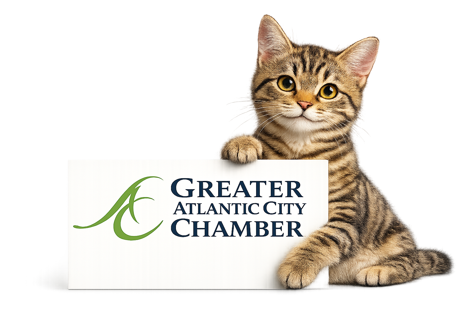 RipVanWhisker Cat Café is a proud member of the Greater Atlantic City Chamber of Commerce